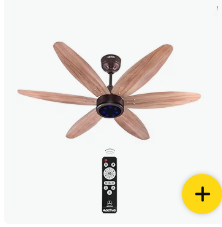 Ceiling Fan